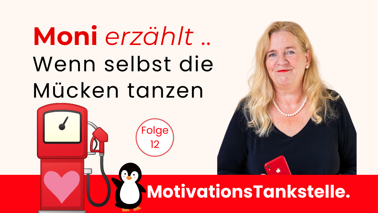 Wenn selbst die Mücken tanzen